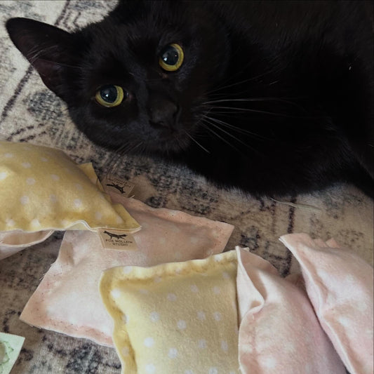 Handmade Catnip Cuddle Cushion for Cats