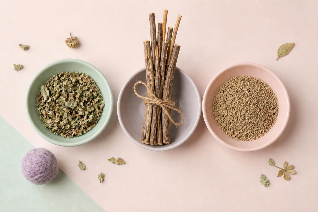 Flat lay with Catnip, Matatabi Sticks and Valerian lined up in separate bowls
