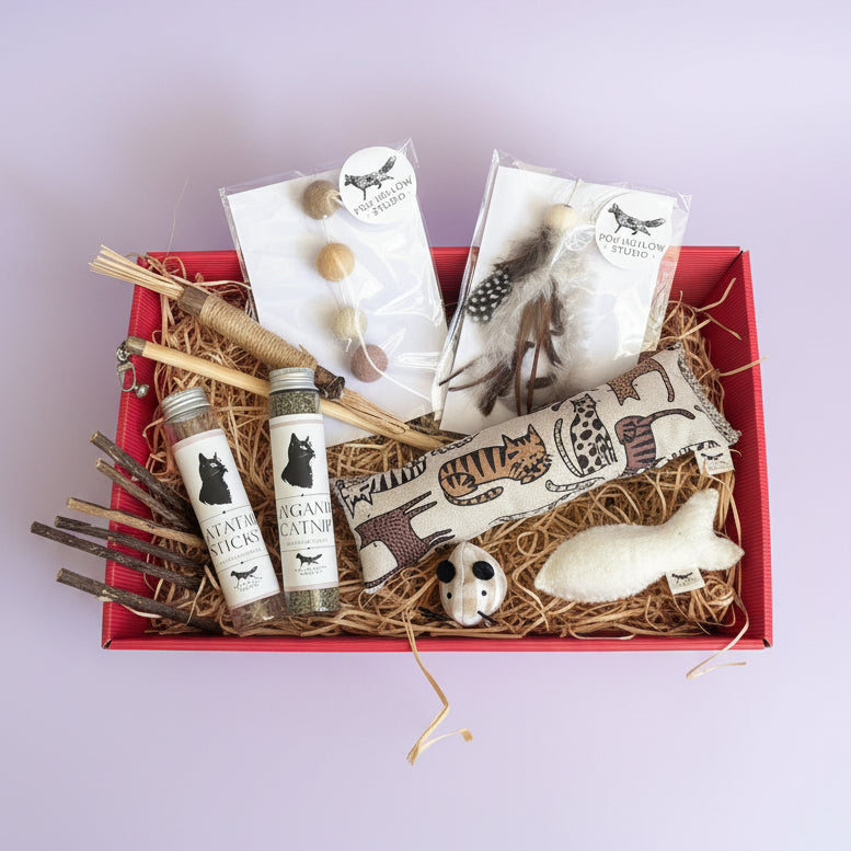 Neutral cat toy gift set with wool fish, kicker, teaser wand and matatabi