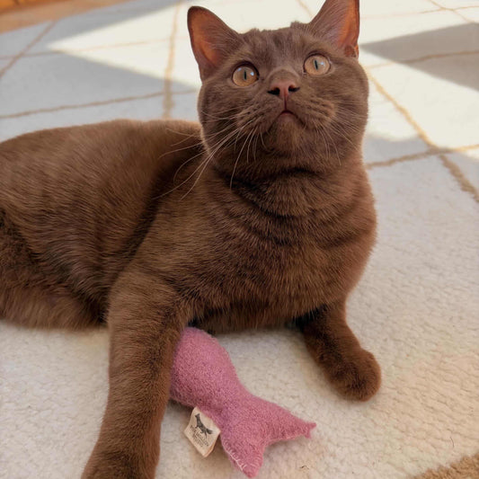 Handmade Wool Catnip Fish Toy – Natural Eco-Friendly Cat Toy