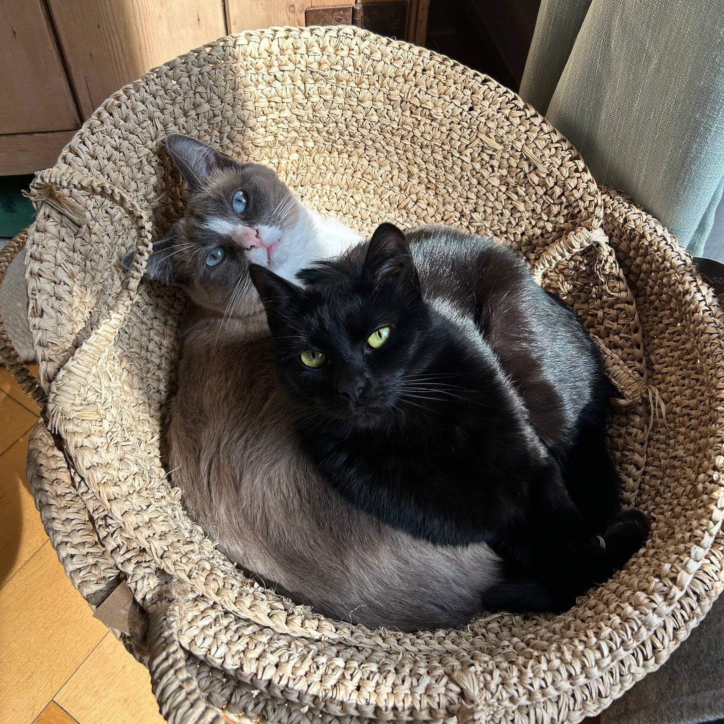 Handmade Raffia Cat Basket Bed with Merino Wool Cushion