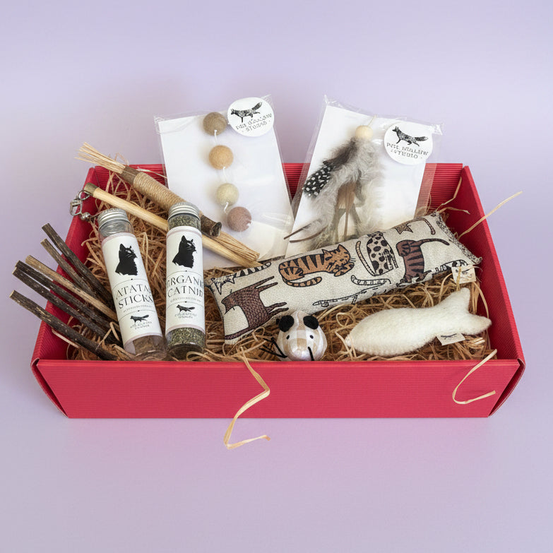 Neutral cat toy gift set with cotton mouse and wool toys