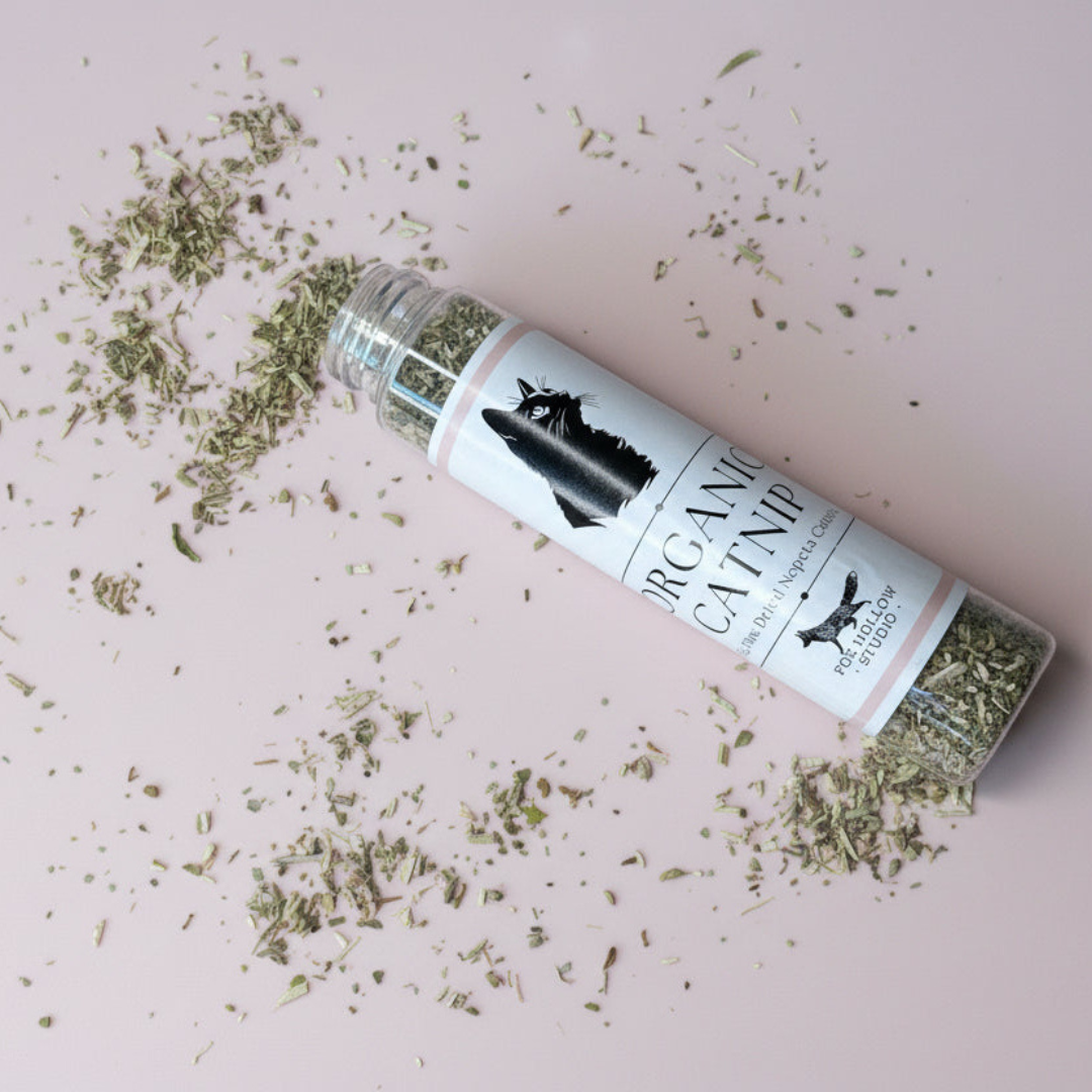 Premium Organic Catnip – Airtight Reusable Tube with Toy Refresh Infusion Pouch