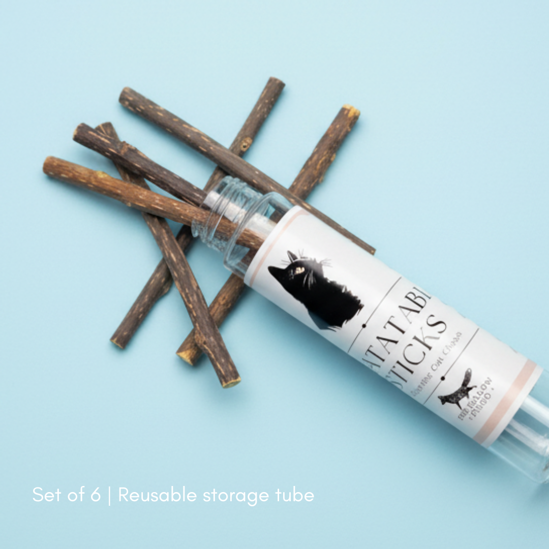 Matatabi Sticks for Cats (6-Pack) – Natural Silvervine Chew Treats with Reusable Storage Tube