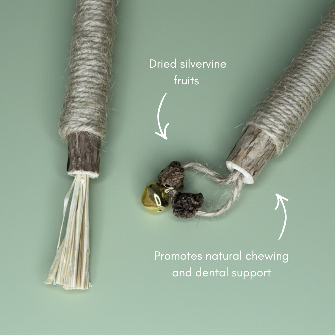 Luxury Natural Cat Toy Gift Set – 6 Piece Handmade Enrichment Bundle
