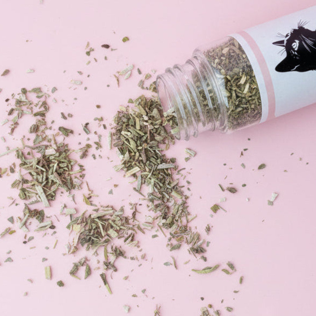 Premium Organic Catnip – Airtight Reusable Tube with Toy Refresh Infusion Pouch