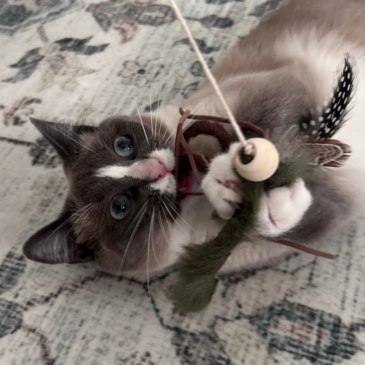 Bamboo Cat Teaser Wand with Interchangeable Attachments