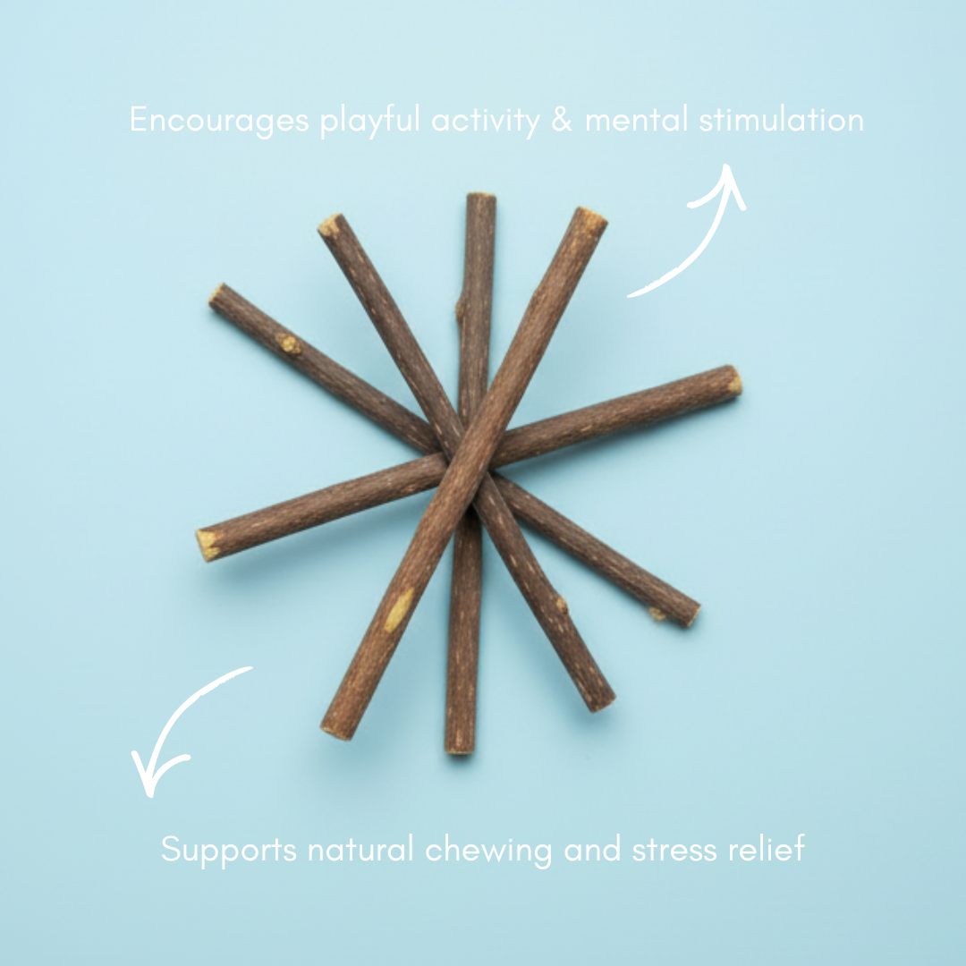 Natürliches Katzenspielzeug-Set – Katzenminze, Matatabi-Sticks, Wollbälle & Baumwollmaus-Spielzeug-Set