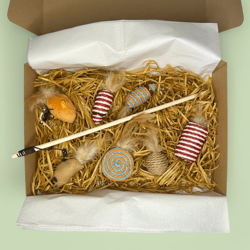 7-Piece Interactive Mouse Cat Toy Set with Feathers – Eco-Friendly