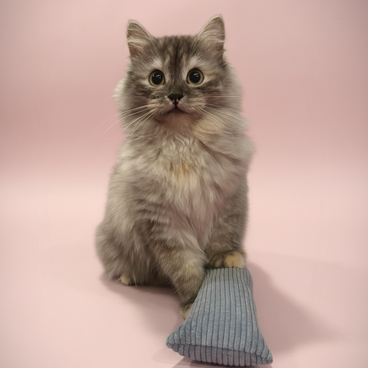 Handmade Refillable Cat Kicker Toy - Organic Catnip & Wool Filled