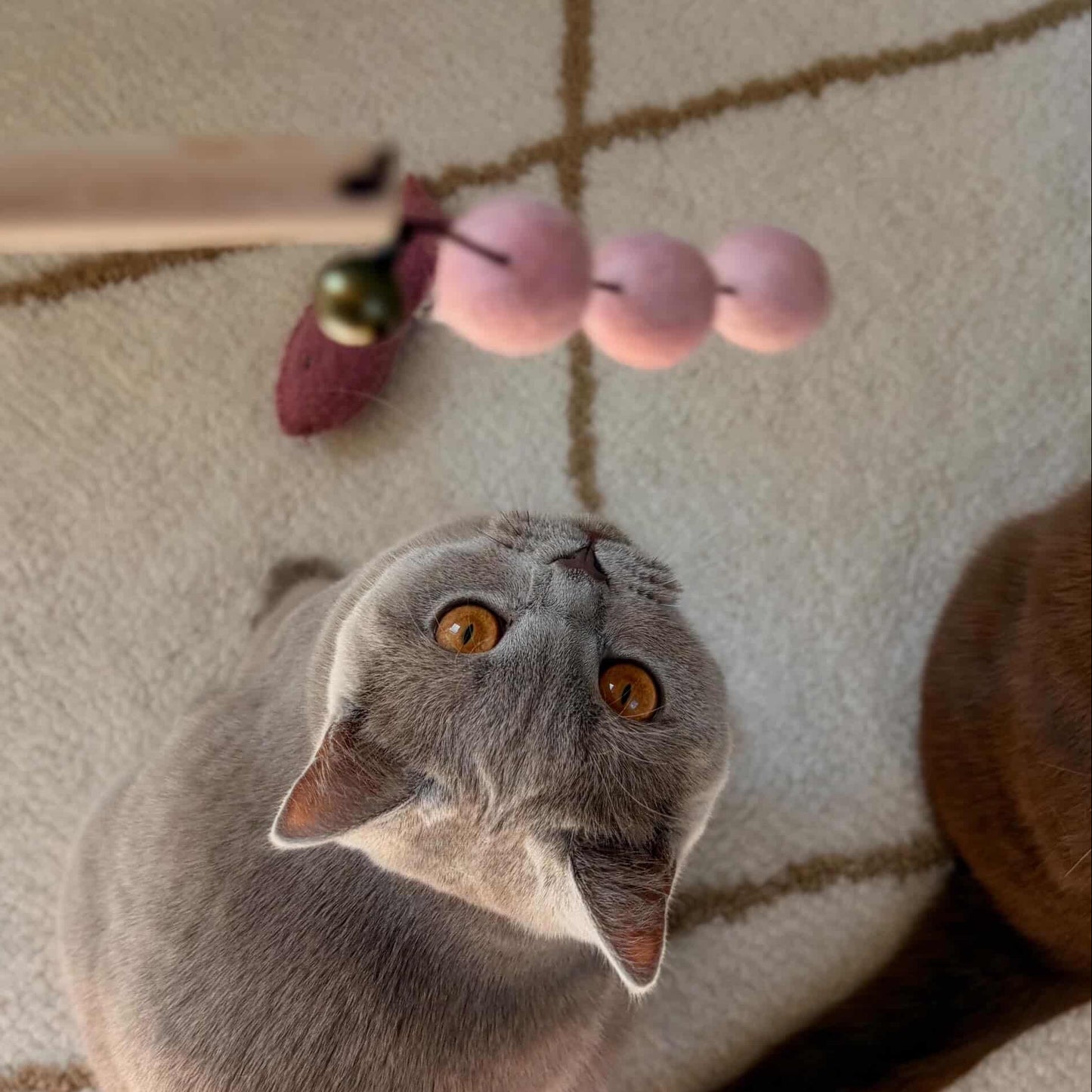 Handmade Wool Ball Cat Teaser Wand – Interactive Natural Cat Toy with Bell & Wooden Stick