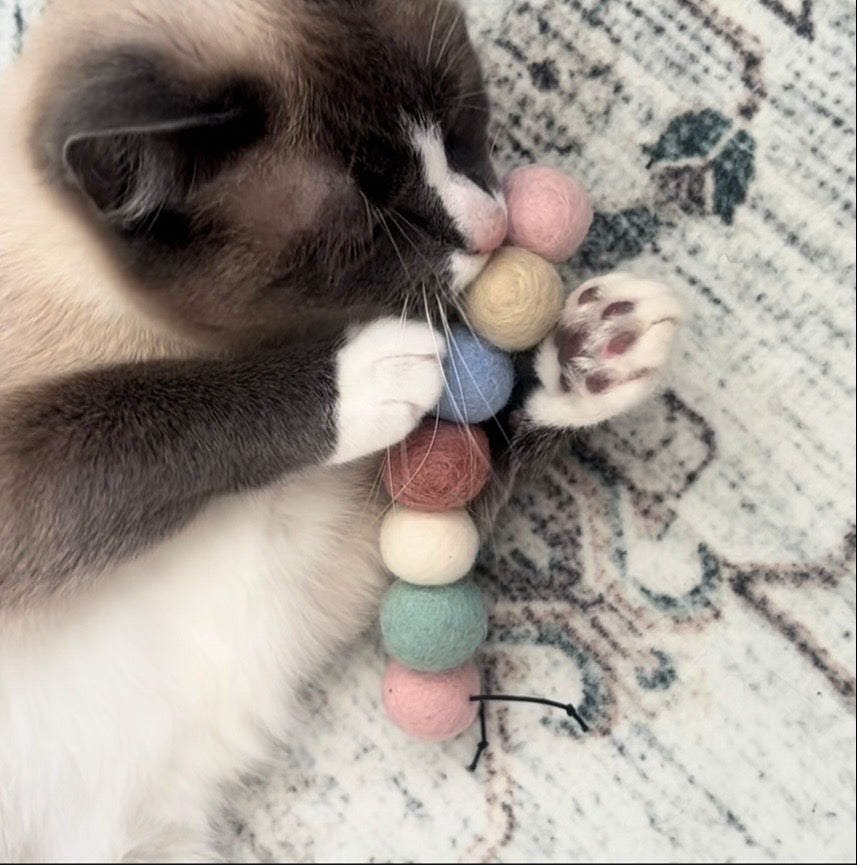 Handgemachtes Pastellfarbenes Raupen-Katzenspielzeug aus Wolle