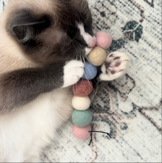 Handmade Pastel Wool Caterpillar Cat Toy