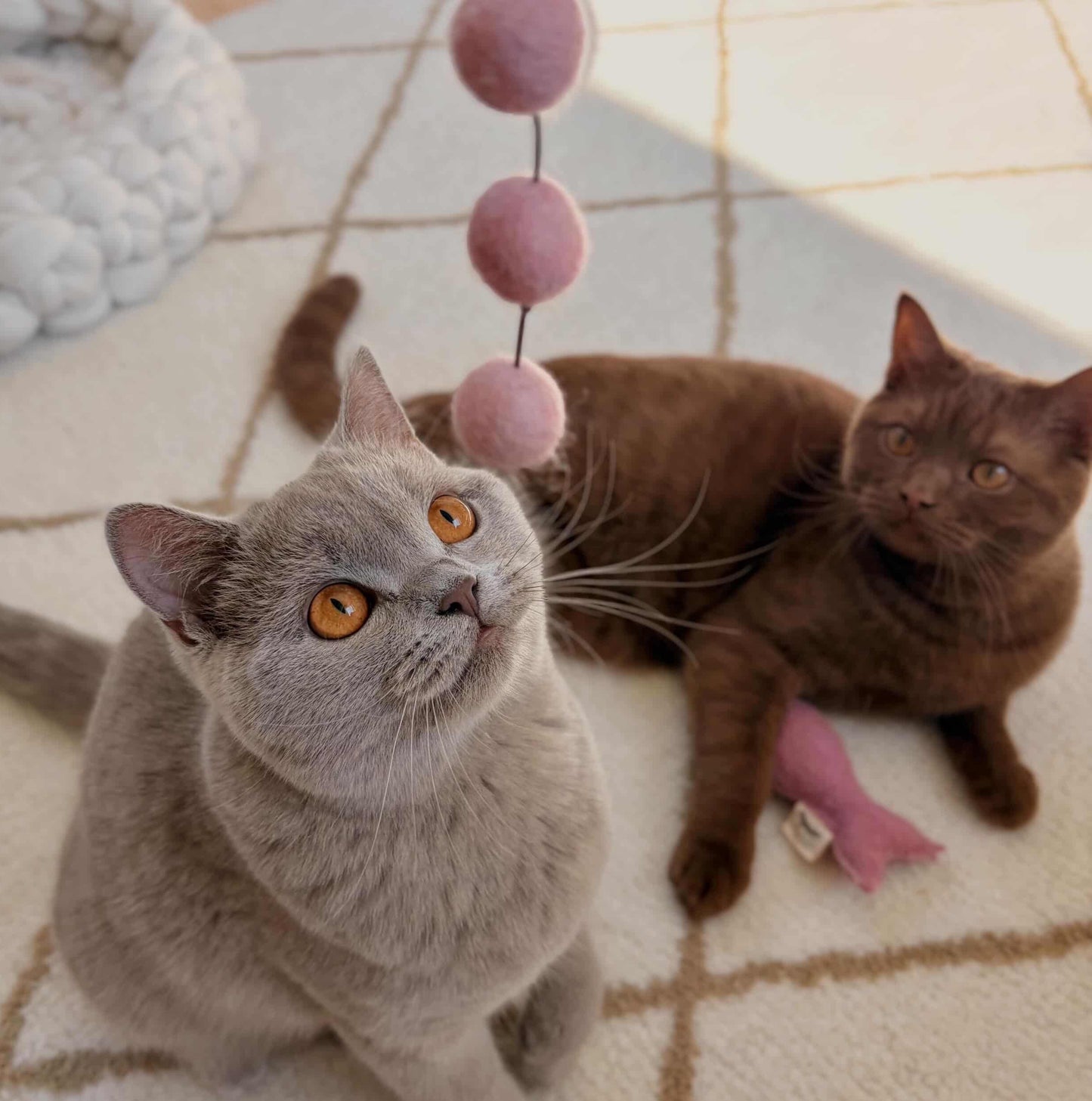 Handmade Wool Ball Cat Teaser Wand – Interactive Natural Cat Toy with Bell & Wooden Stick